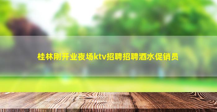 桂林刚开业夜场ktv招聘招聘酒水促销员